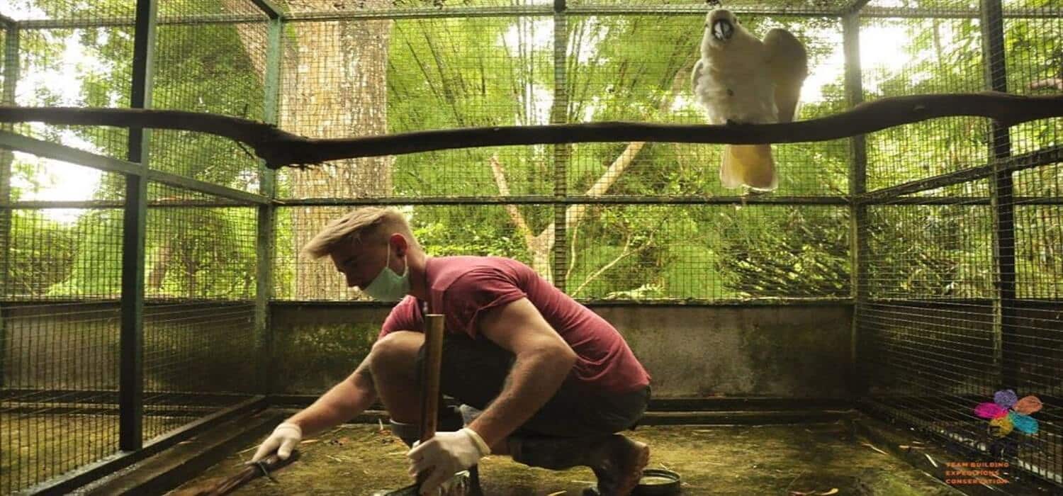 Volunteer with Wildlife rescue centre